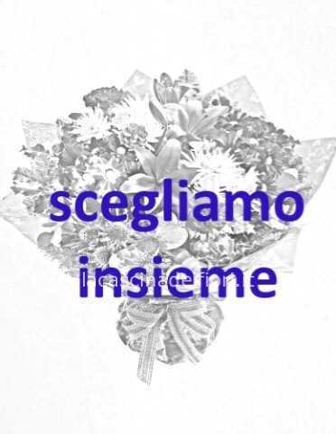 Omaggio da concordare a telefono al 3388844253